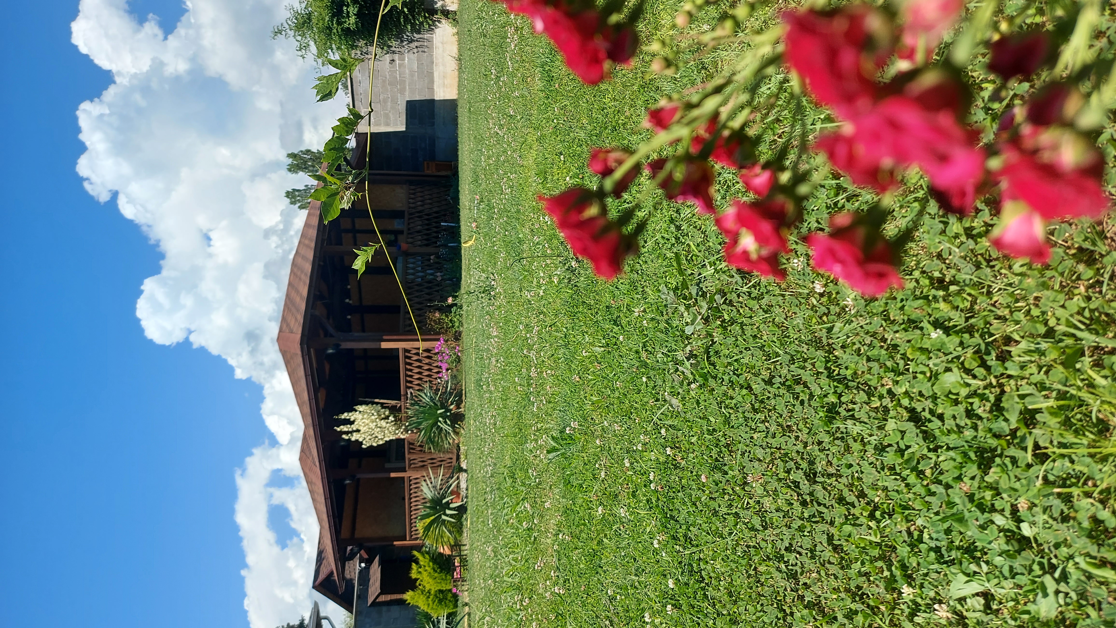 Фото Абазгия