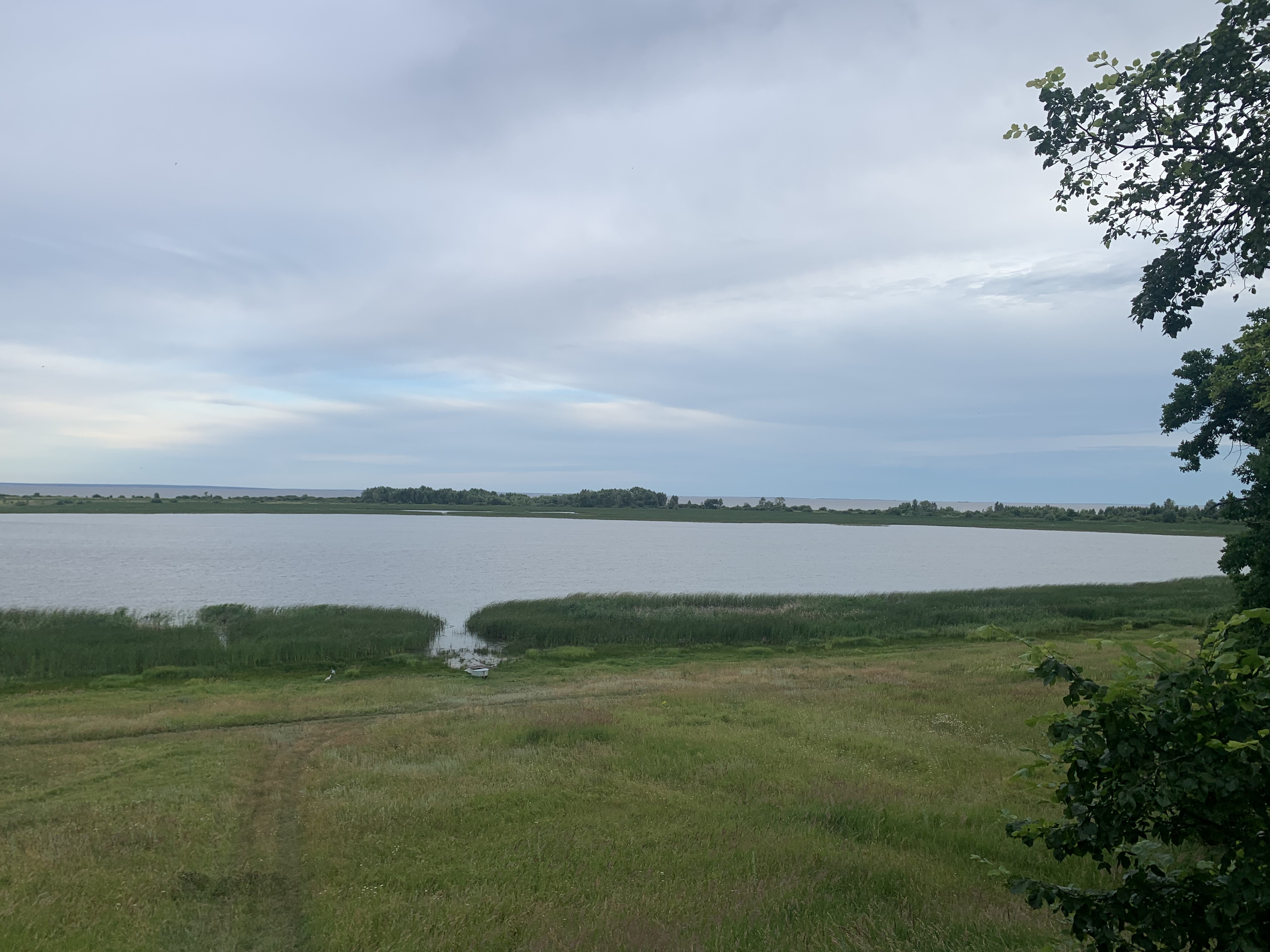 Фото Солнышко