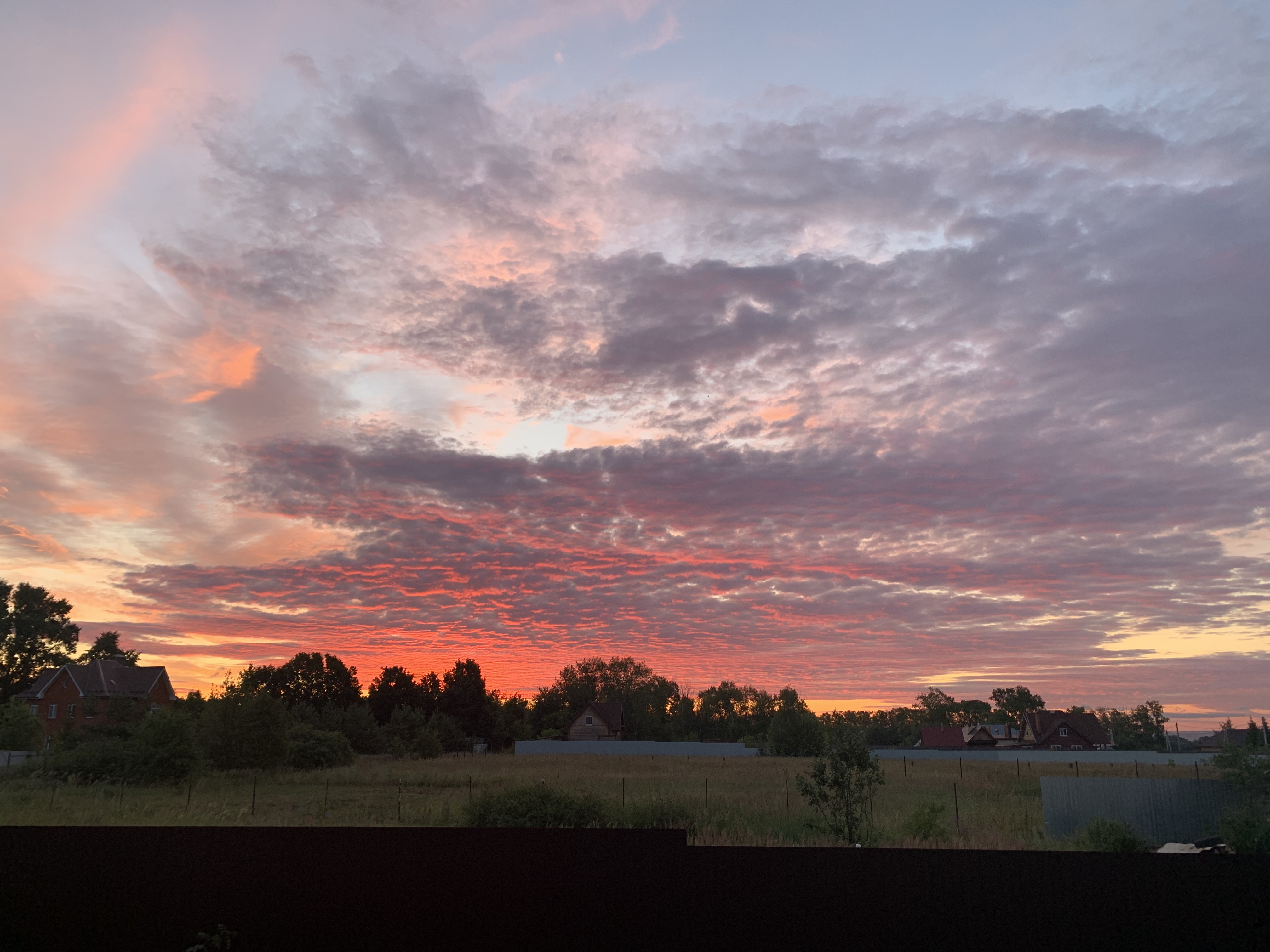 Фото Солнышко