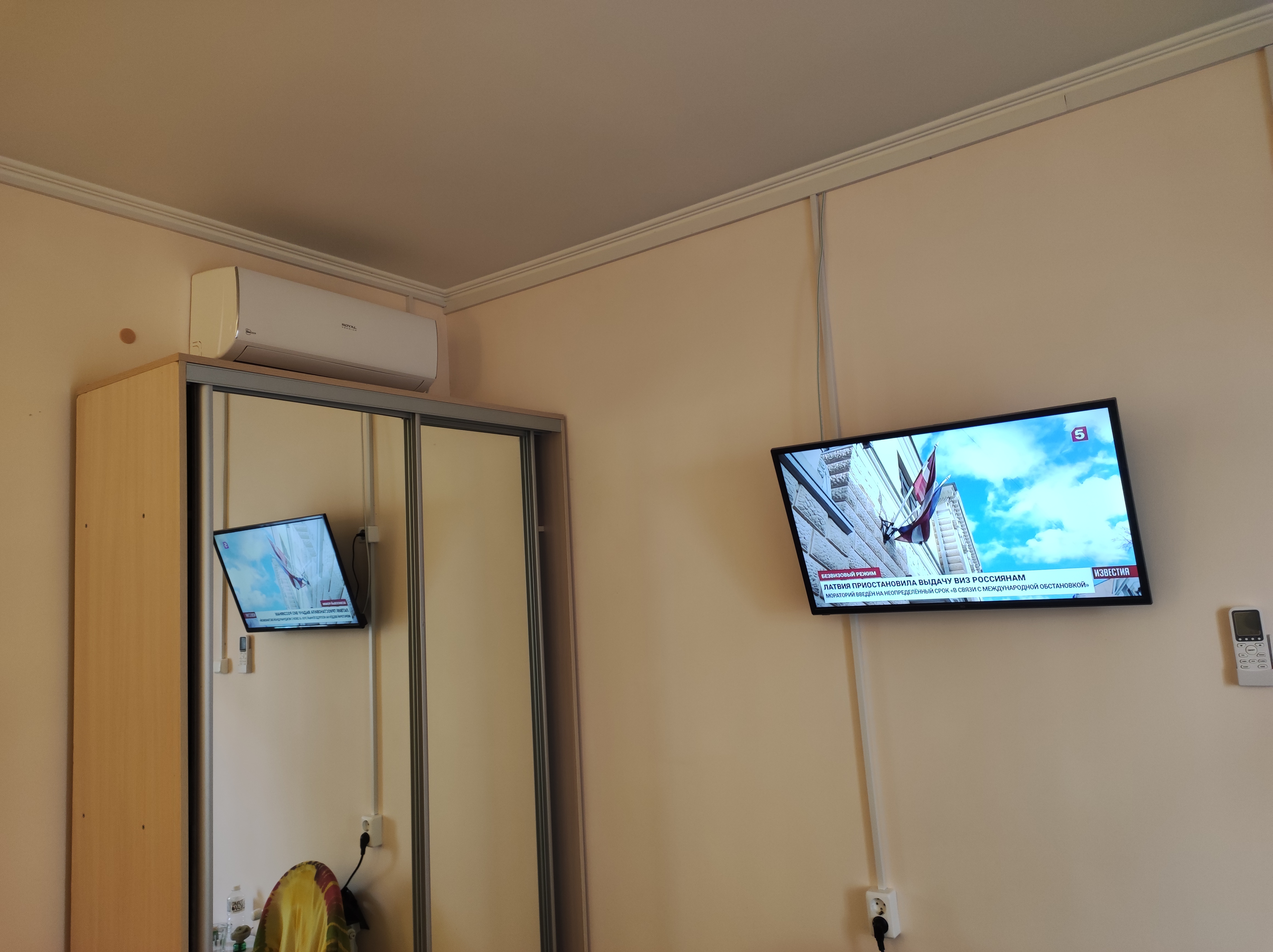 Фото Изумрудная пальма