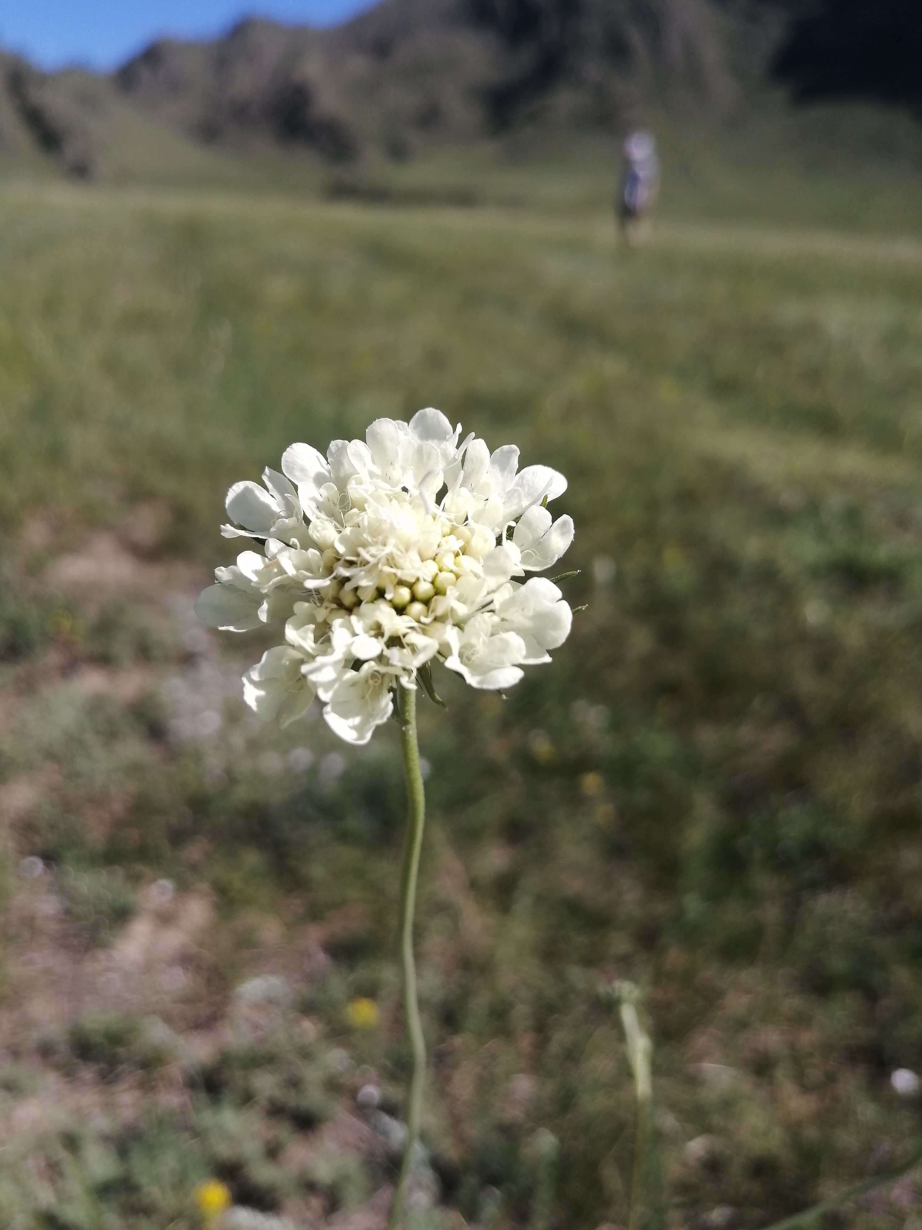 Фото УЧ Энмек