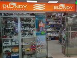 Блонди (ulitsa Krupskoy, 43), beauty salon equipment