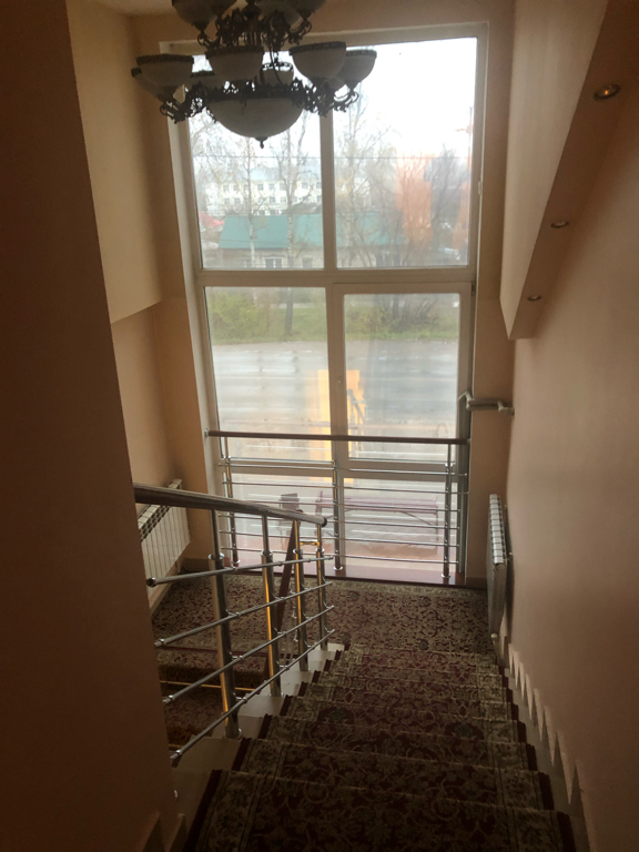 Фото Золотая рыбка