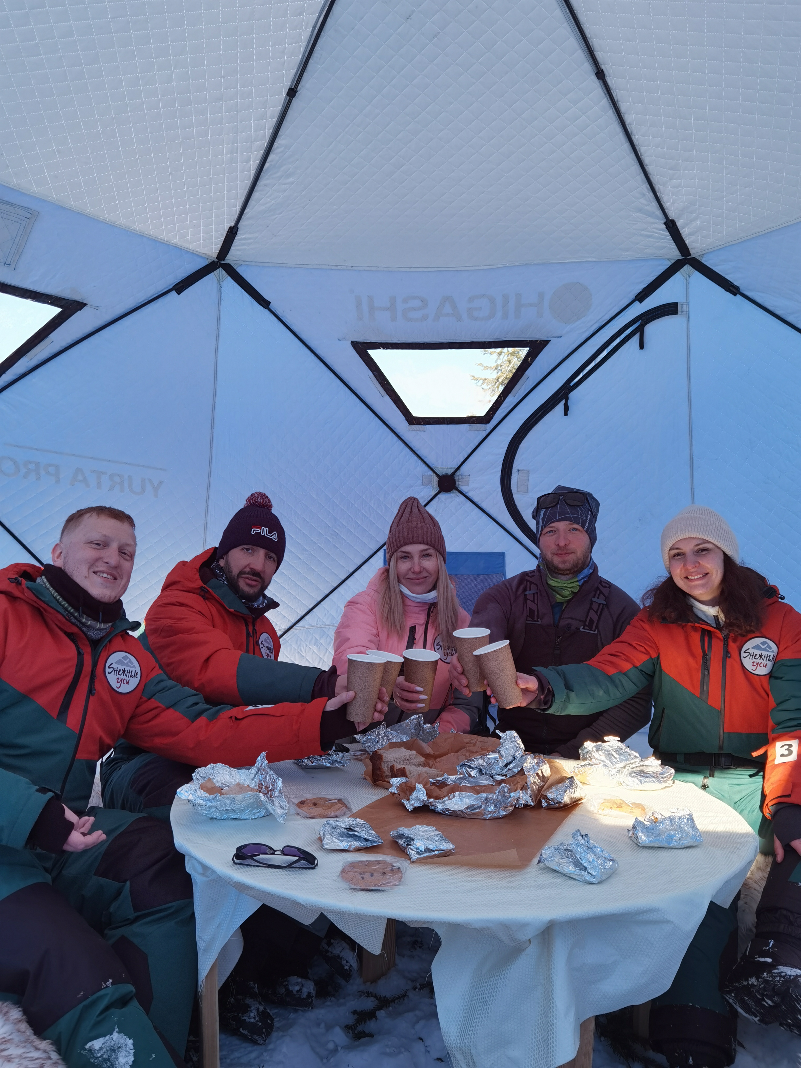 Фото Снежные Гуси