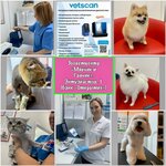 Мявчик и Гавчик (posyolok Nizhnesortymskiy, ulitsa Entuziastov, 1), pet shop