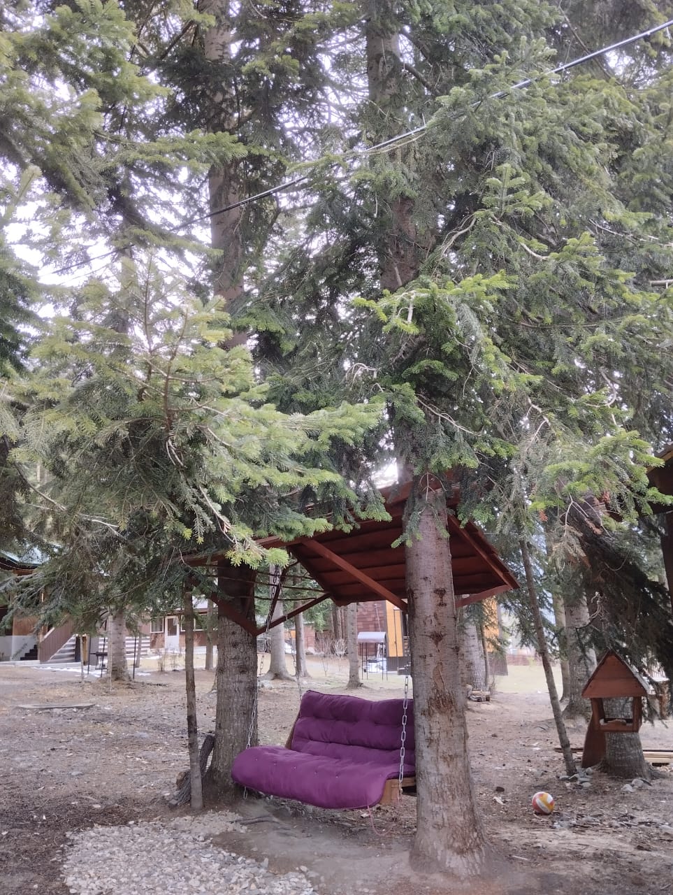 Фото Атмосфера Архыз