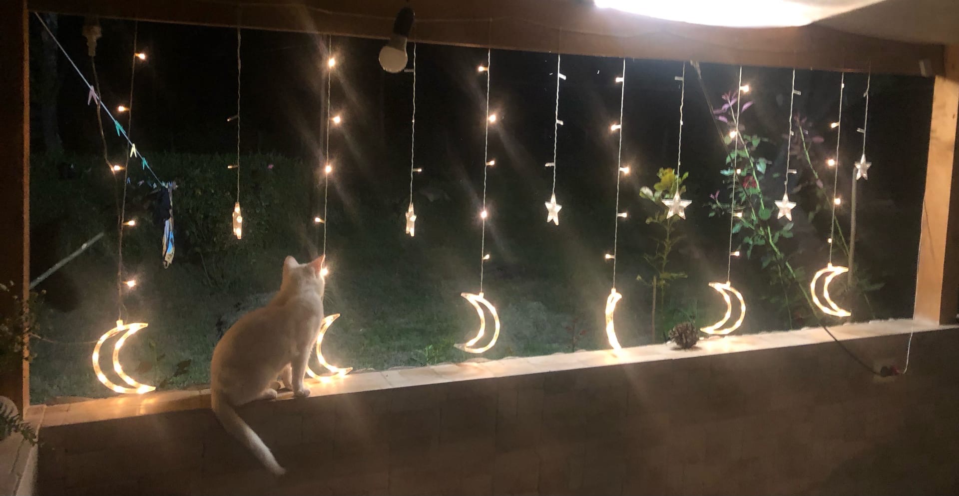 Фото Страна Души