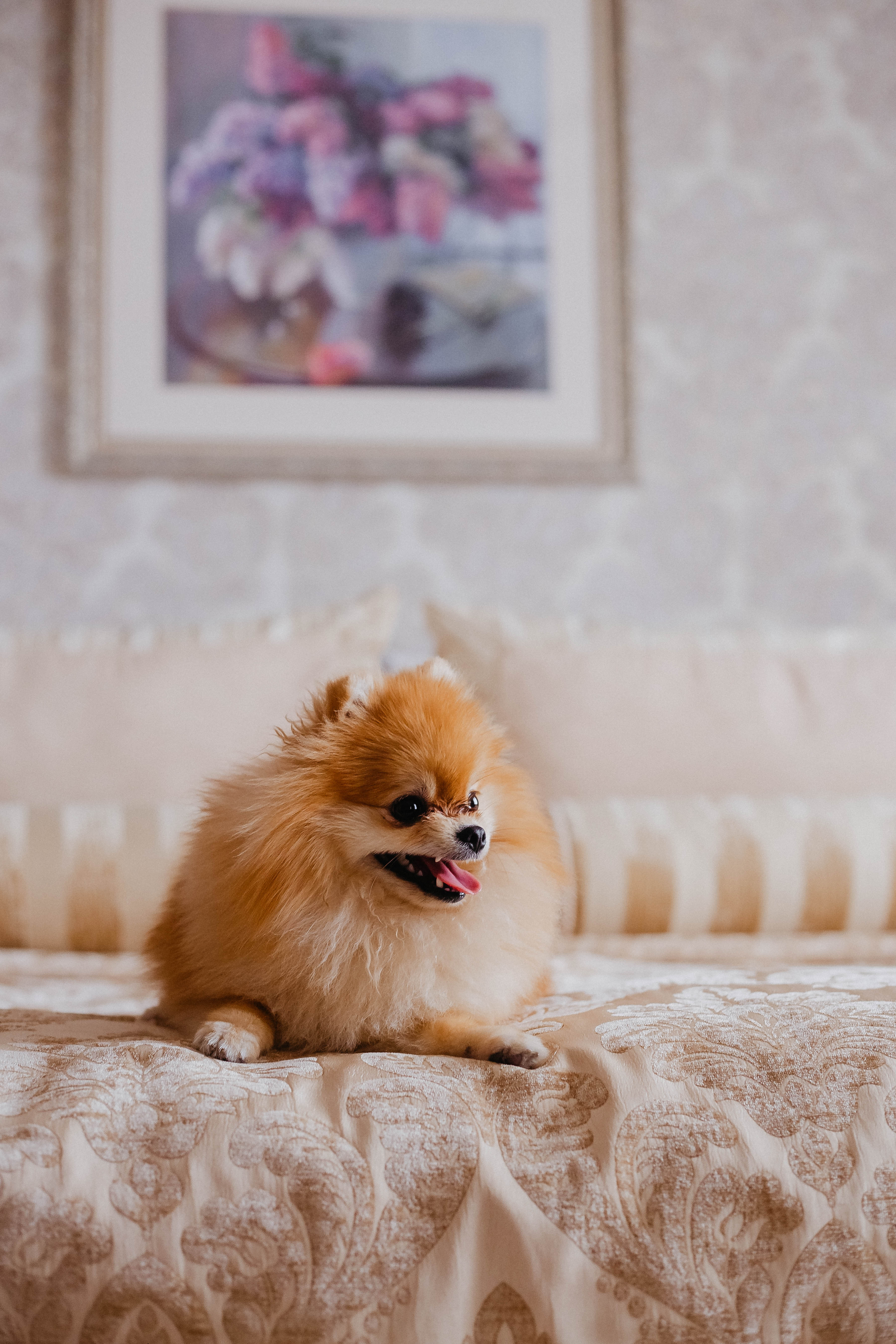 Фото Берёзка