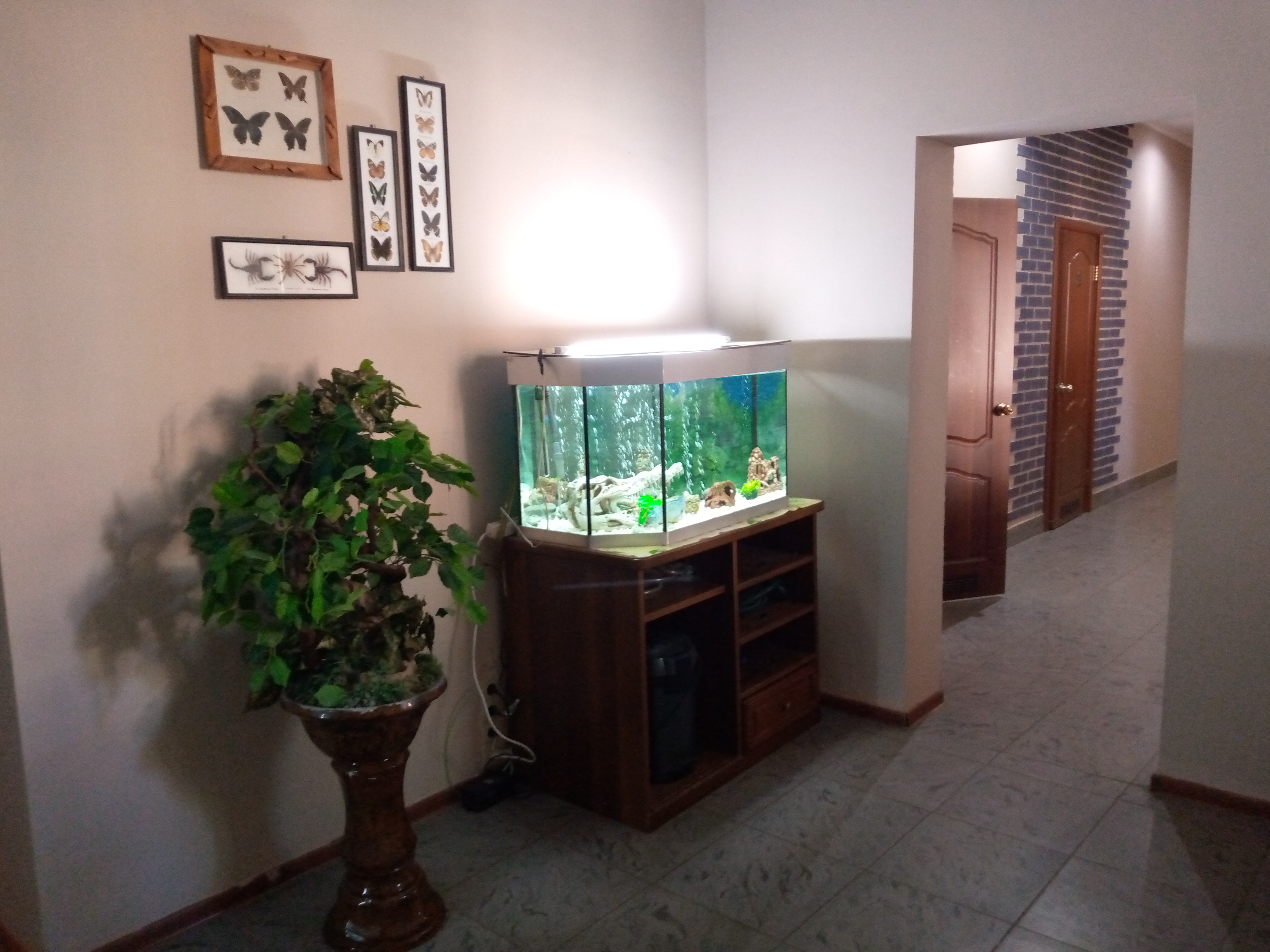 Фото Старый дворик