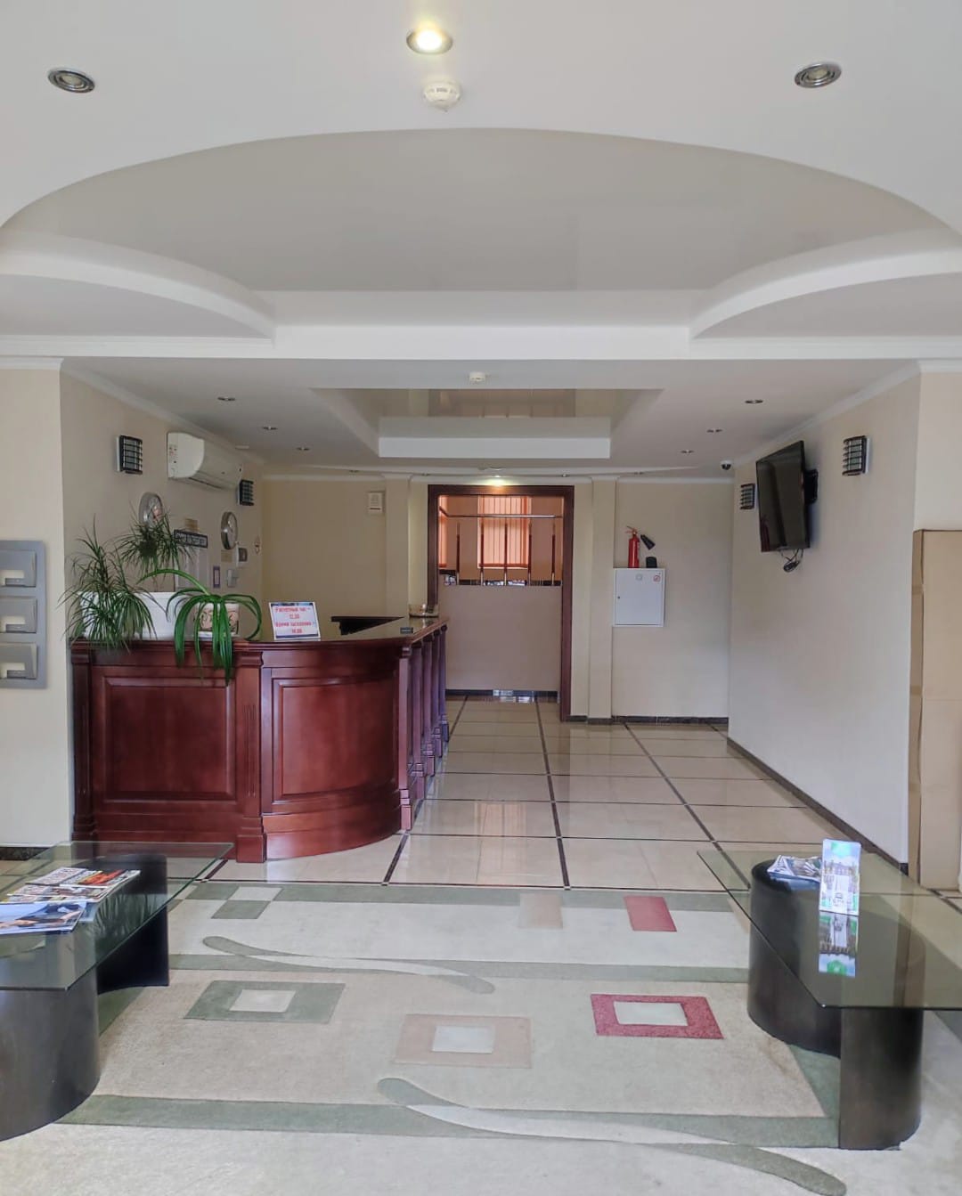 Фото Афалина