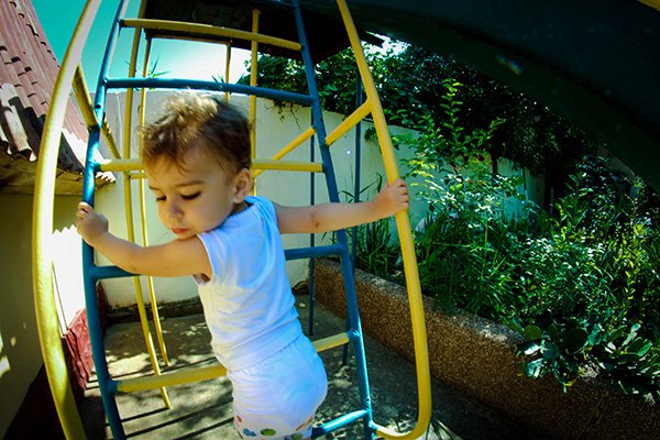 Фото Ласточкино гнездо