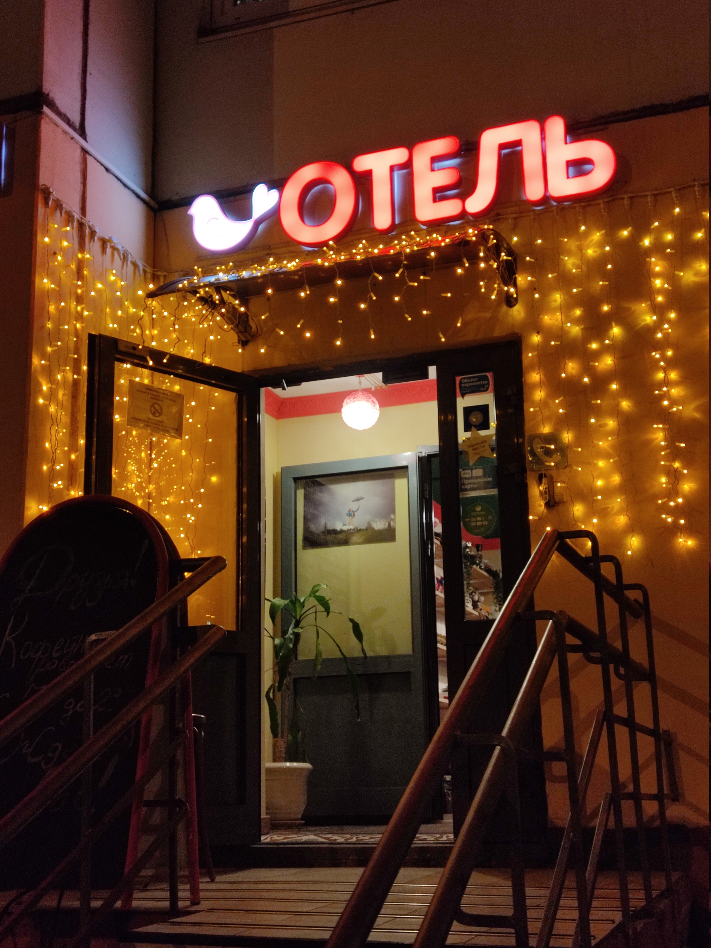 Фото Иван-чай