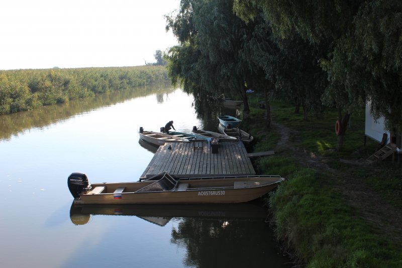 Фото Пиранья Дельта