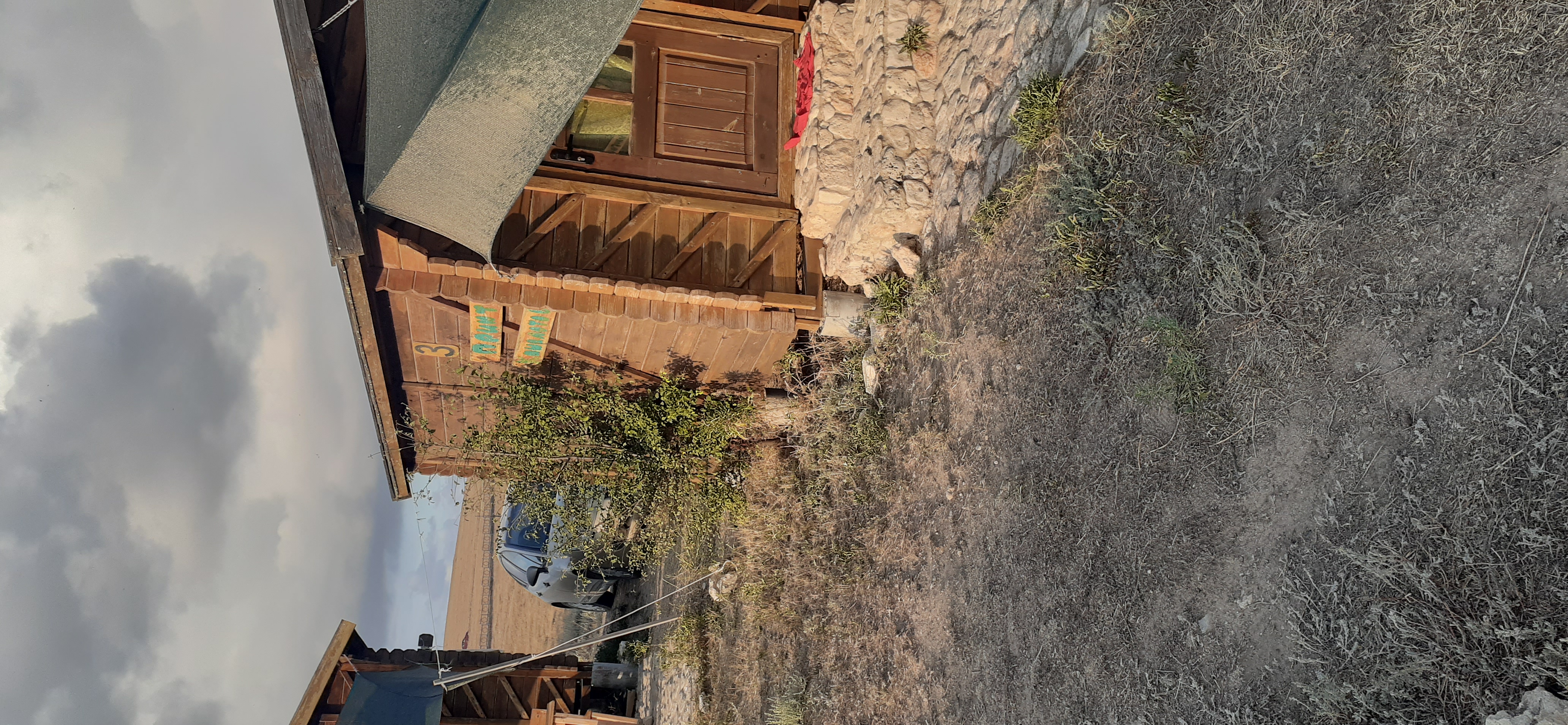 Фото Афалина