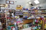 Cat Matroskin (Kommunisticheskaya Street, 49) ، متجر للحيوانات الأليفة