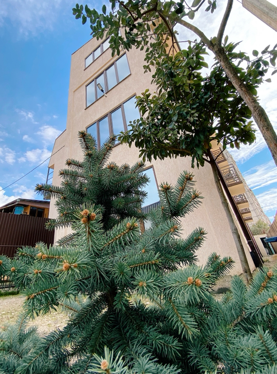 Фото A-more Gagra