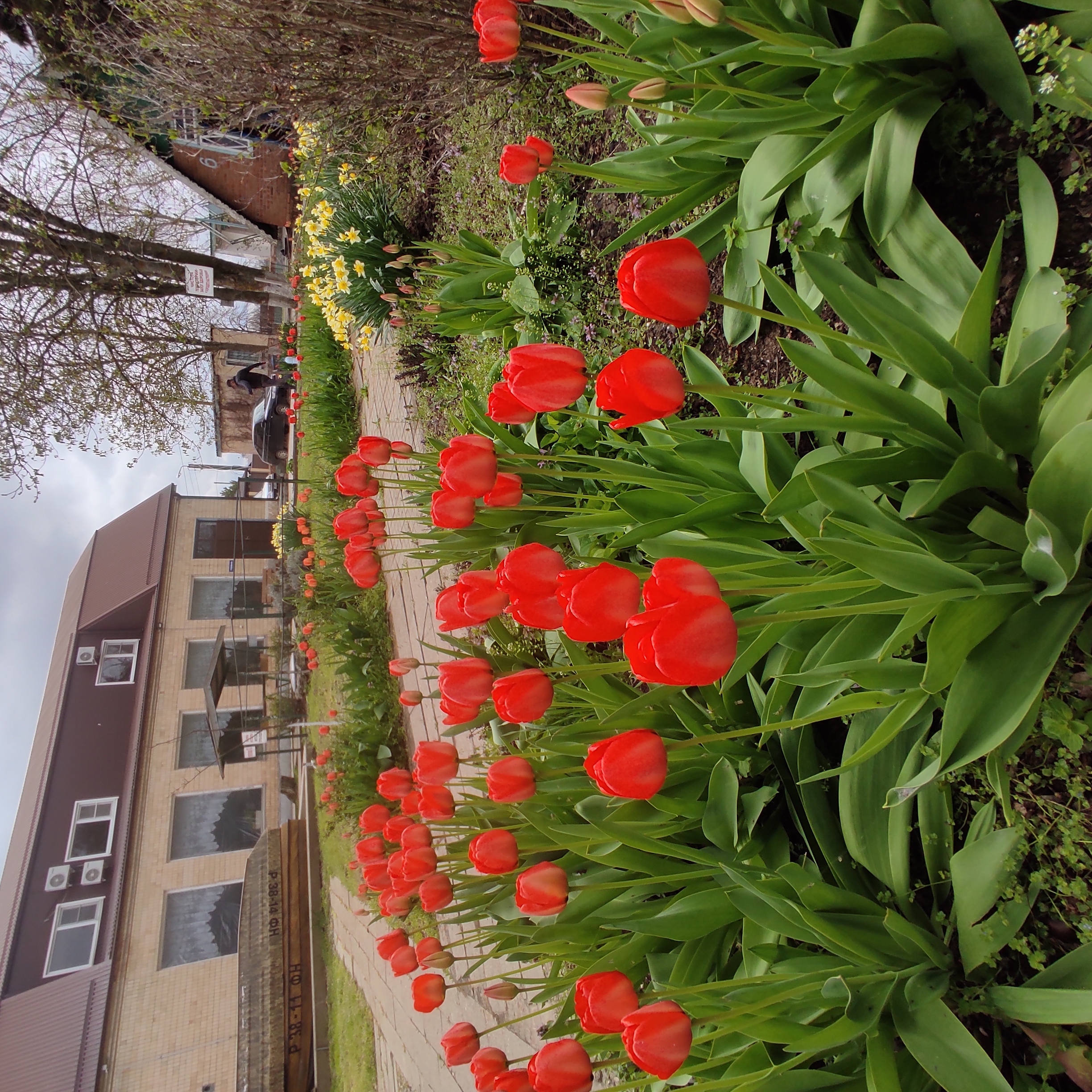 Фото Юность