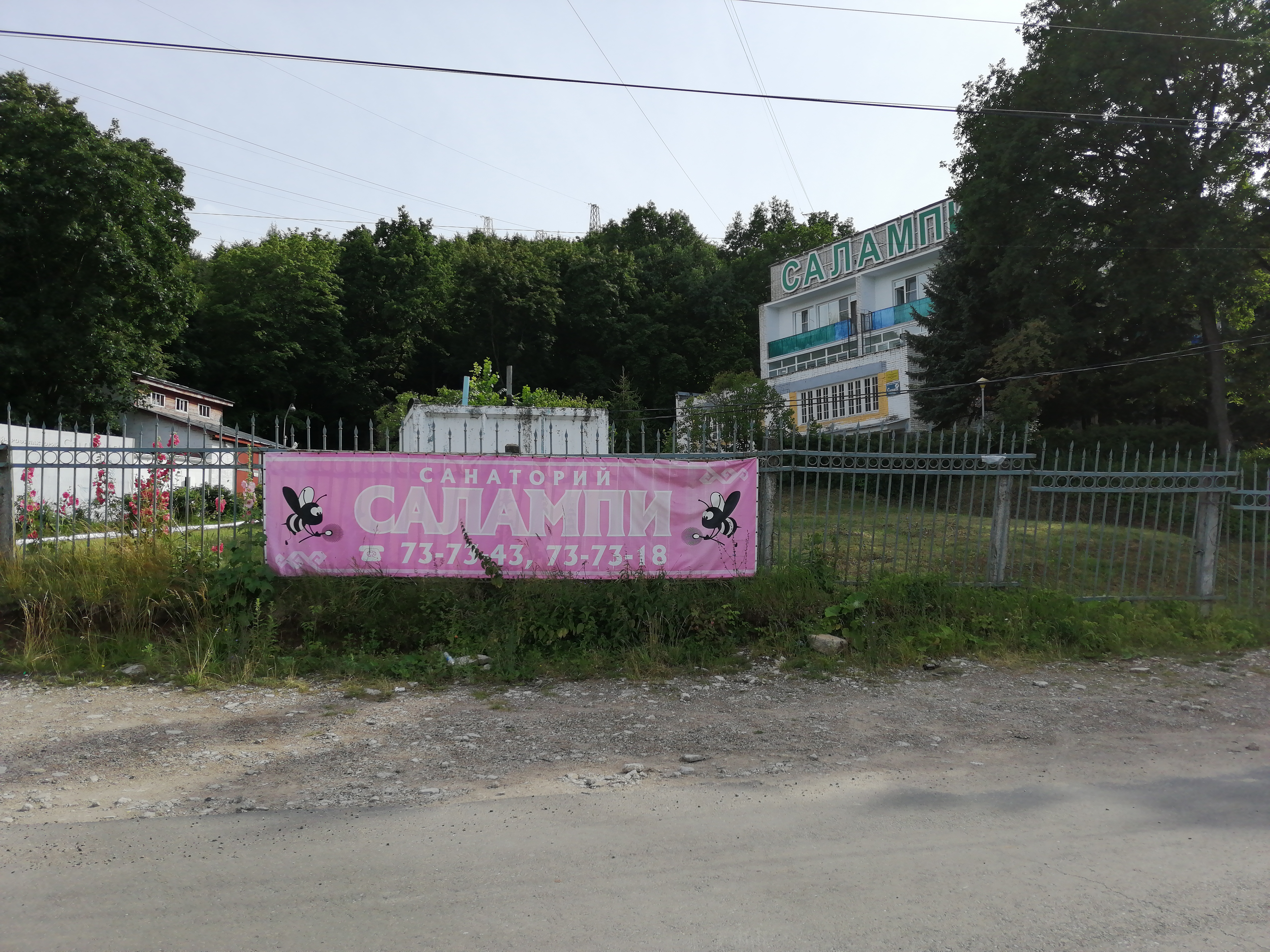 Фото Салампи