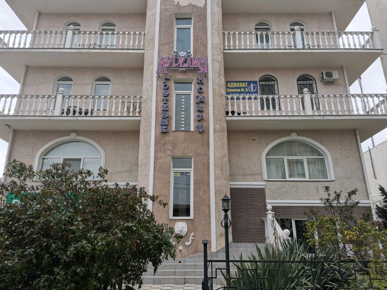 Фото Аурелия