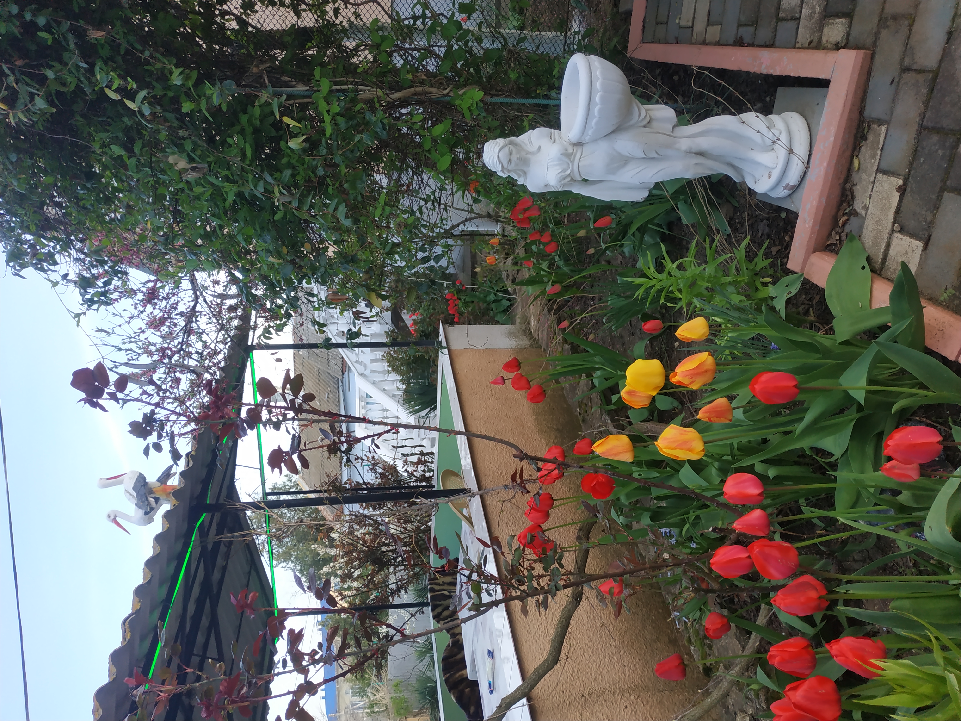 Фото Райский Берег