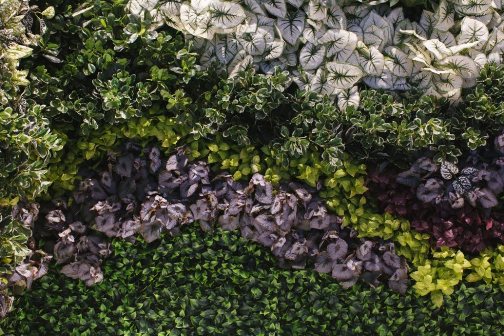 Фото ONOMO Hotel Cape Town Foreshore