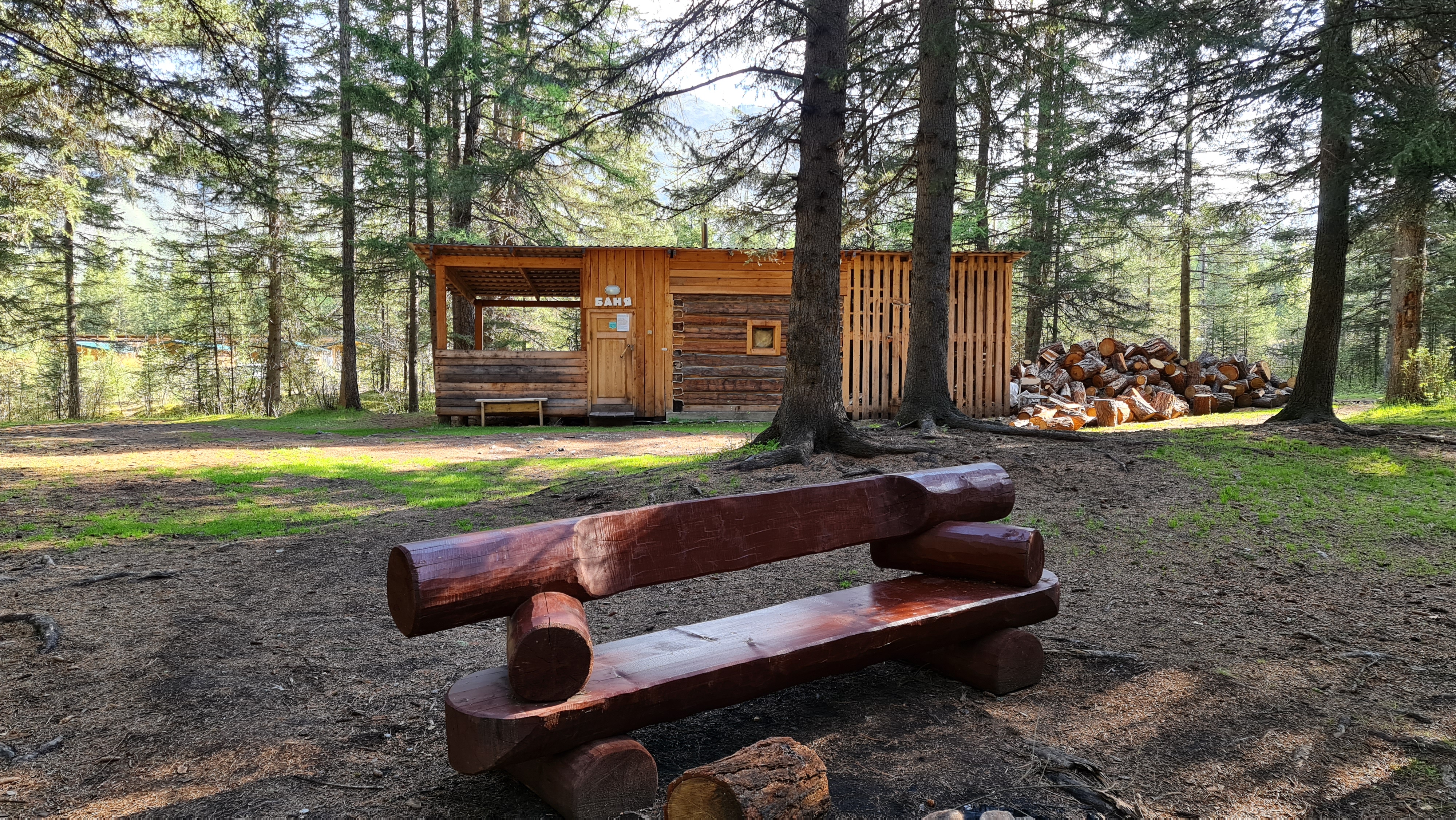 Фото Зелёный колобок