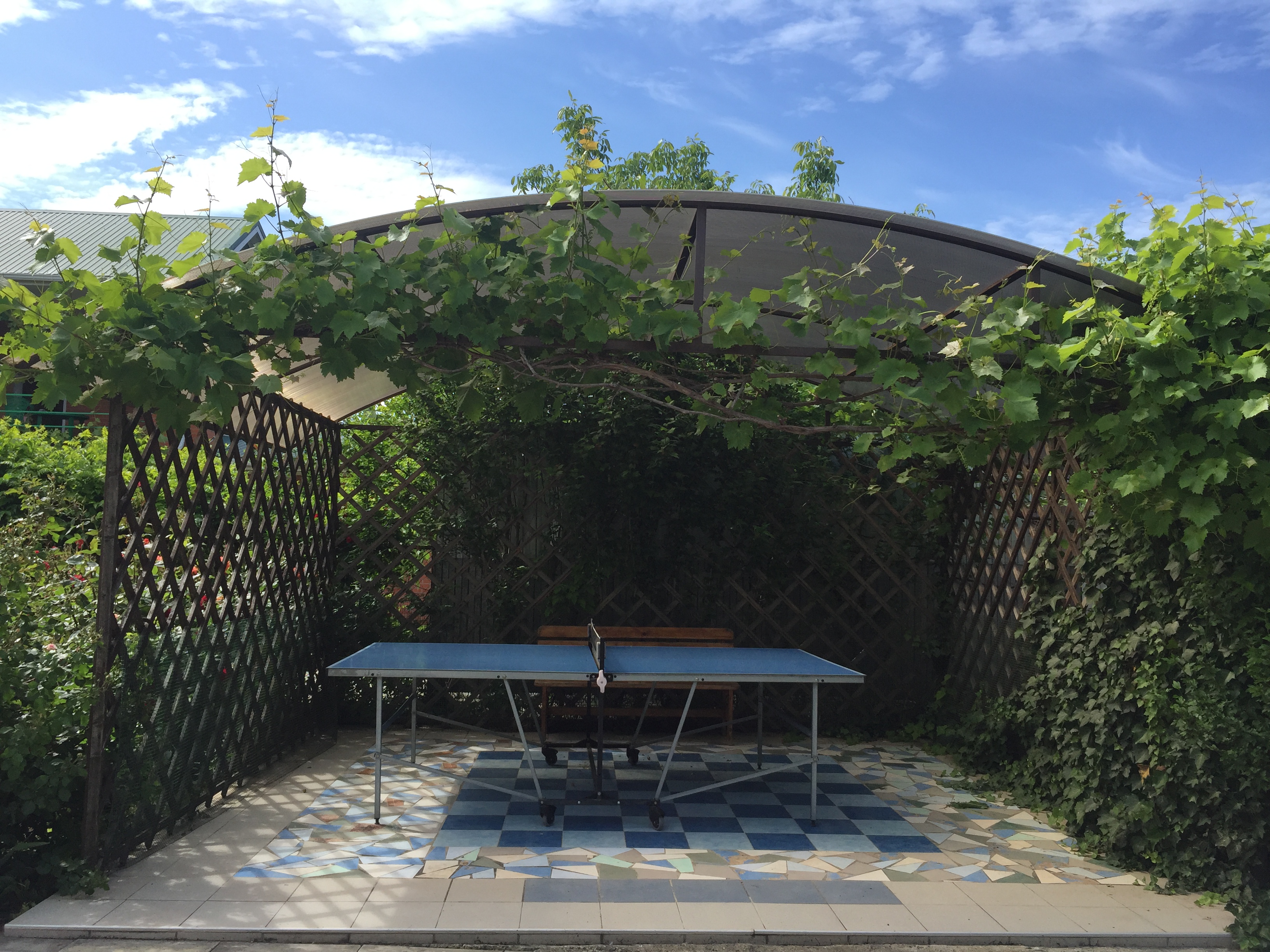 Фото Виктори