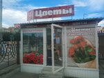 Cvetochnaya lavka (vulica Karpovicha, 28/4) ، محل زهور