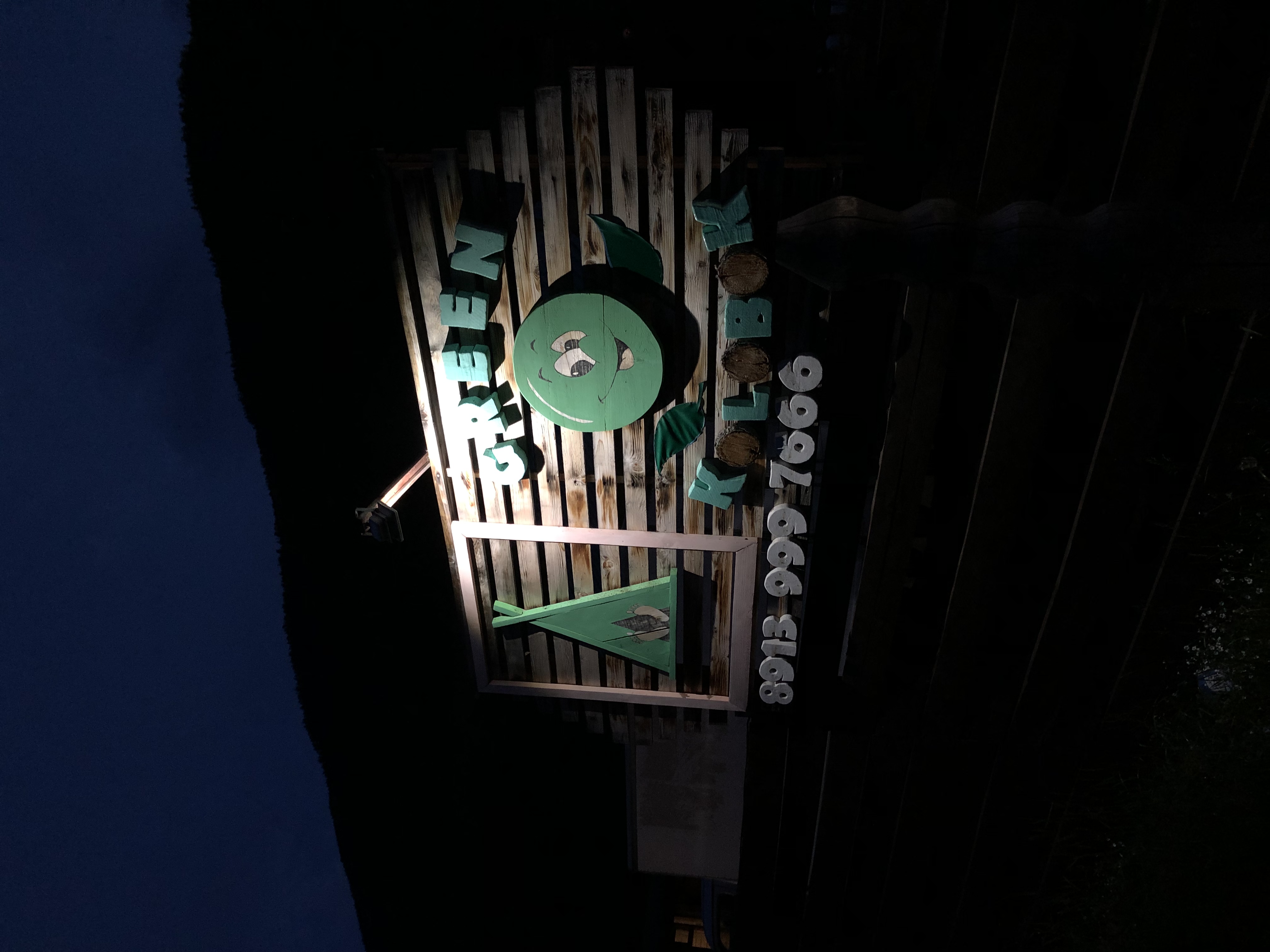 Фото Зелёный колобок