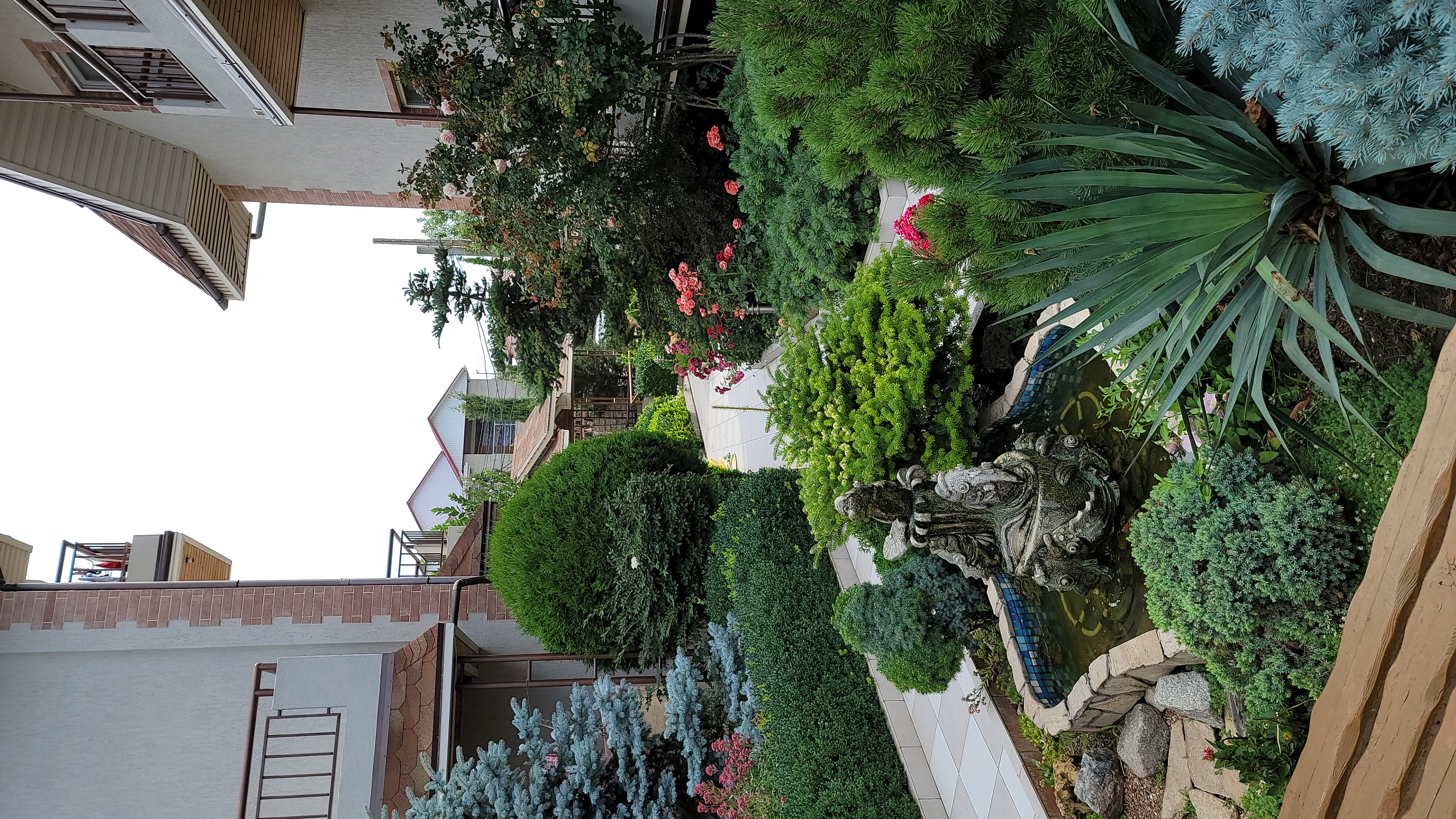 Фото Вилла Жасмин