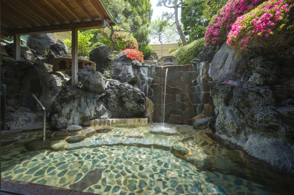 Фото Fujisan Onsen Bessho Sasa