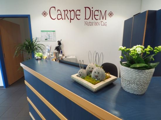 Фото Carp Diem