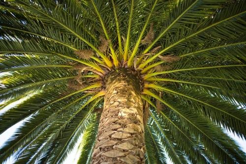 Фото Botanica Bed and Breakfast