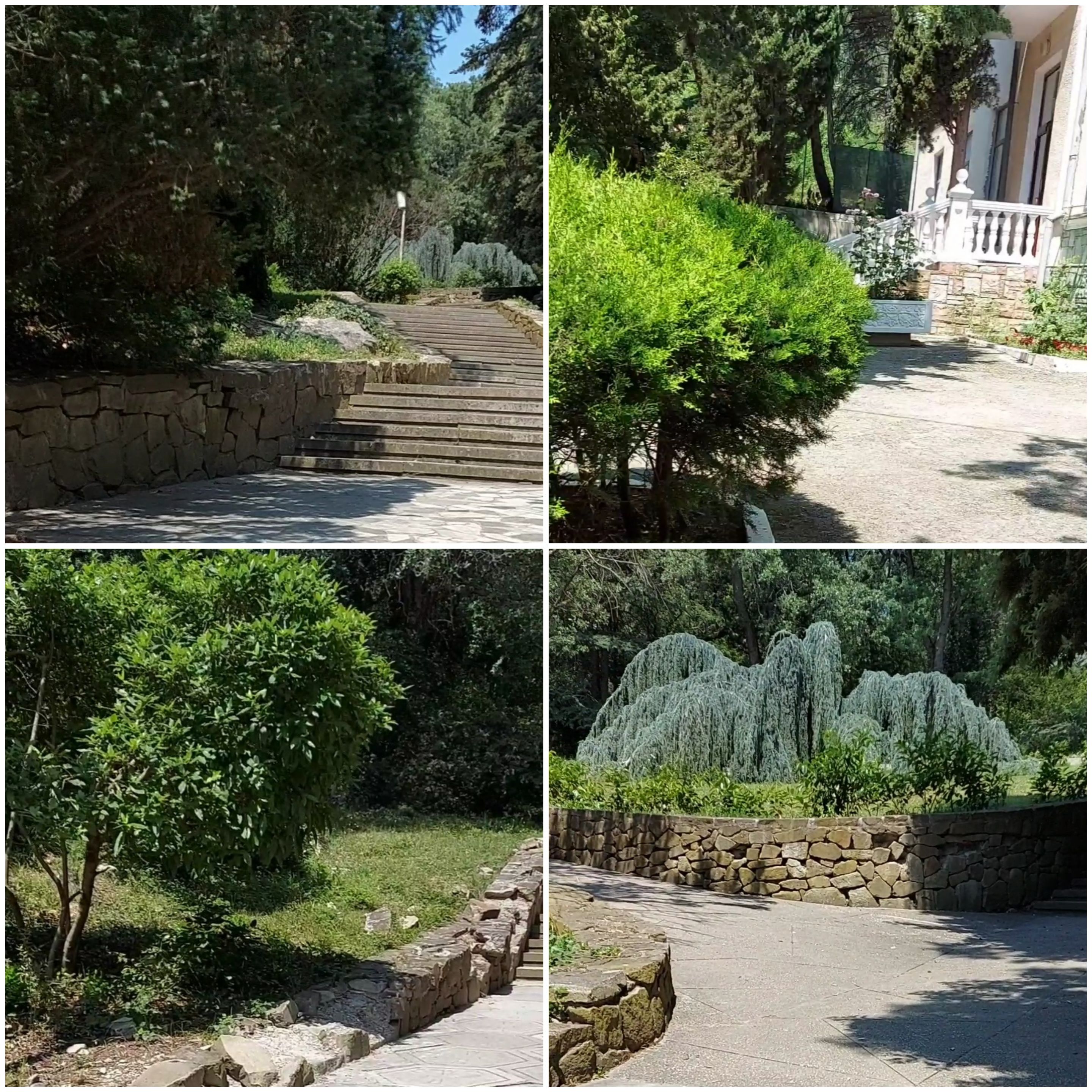 Фото Олива Парк