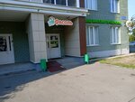 Fasol' (Salikha Batiyeva Street, 9), grocery