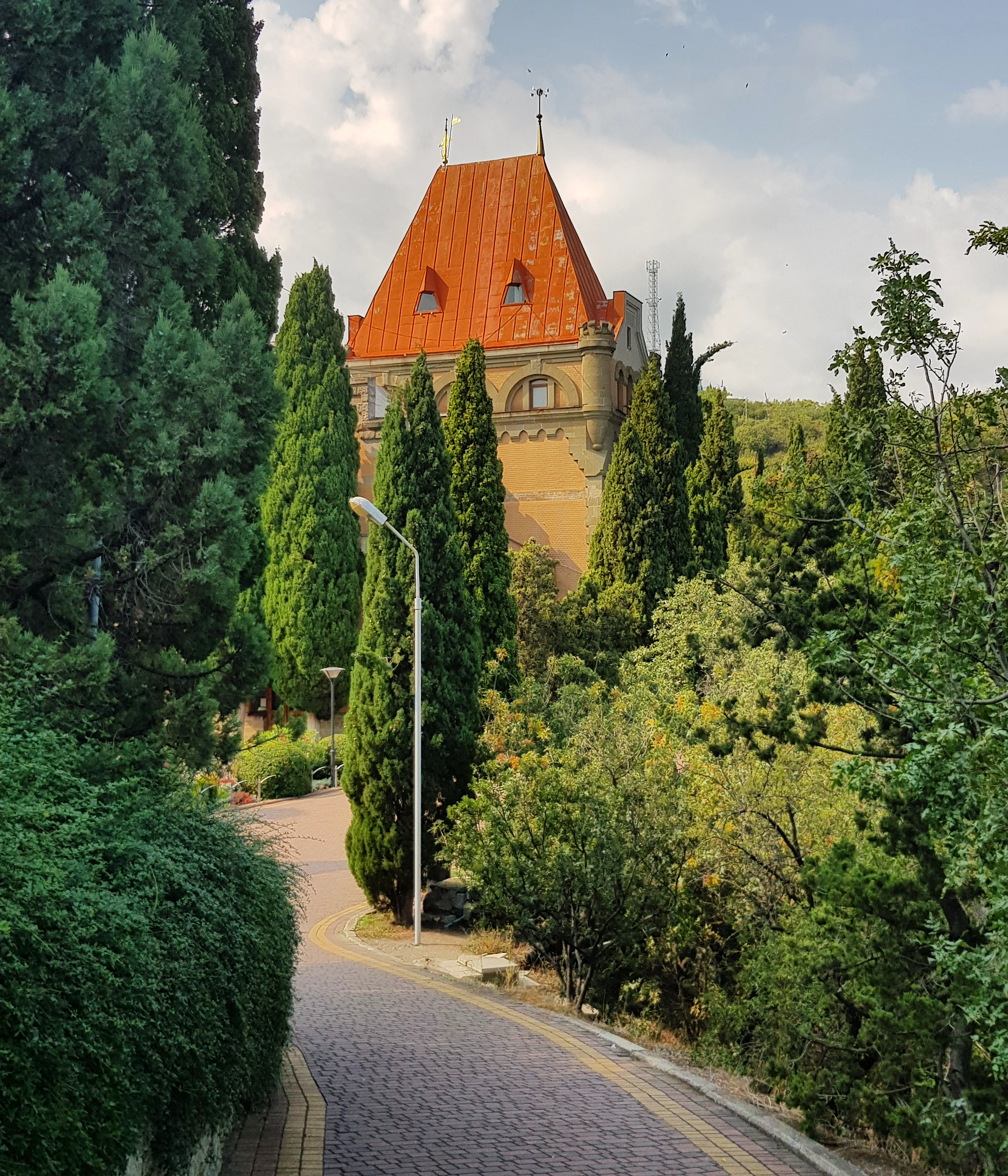 Фото Медуза