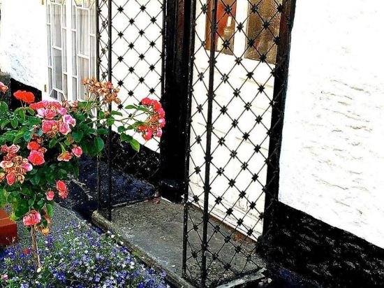 Фото The White Cottage B&b