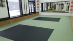 Dojo Seidokan (Georgievskiy Avenue, 33Ак3), sports school