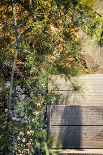 Гостиница Экопарк Поляны в Рязанской области