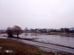 Песчанский лог (Belgorod Region, Starooskolskiy gorodskoy okrug, selo Peschanka, park Peschanskiy log) ، مزرعة ماشية