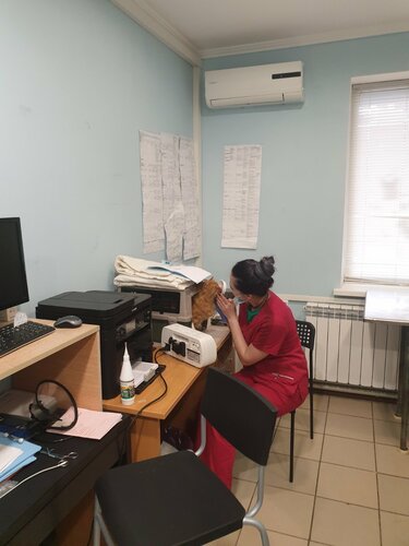 Ветеринарная клиника Барс, Тольятти, фото