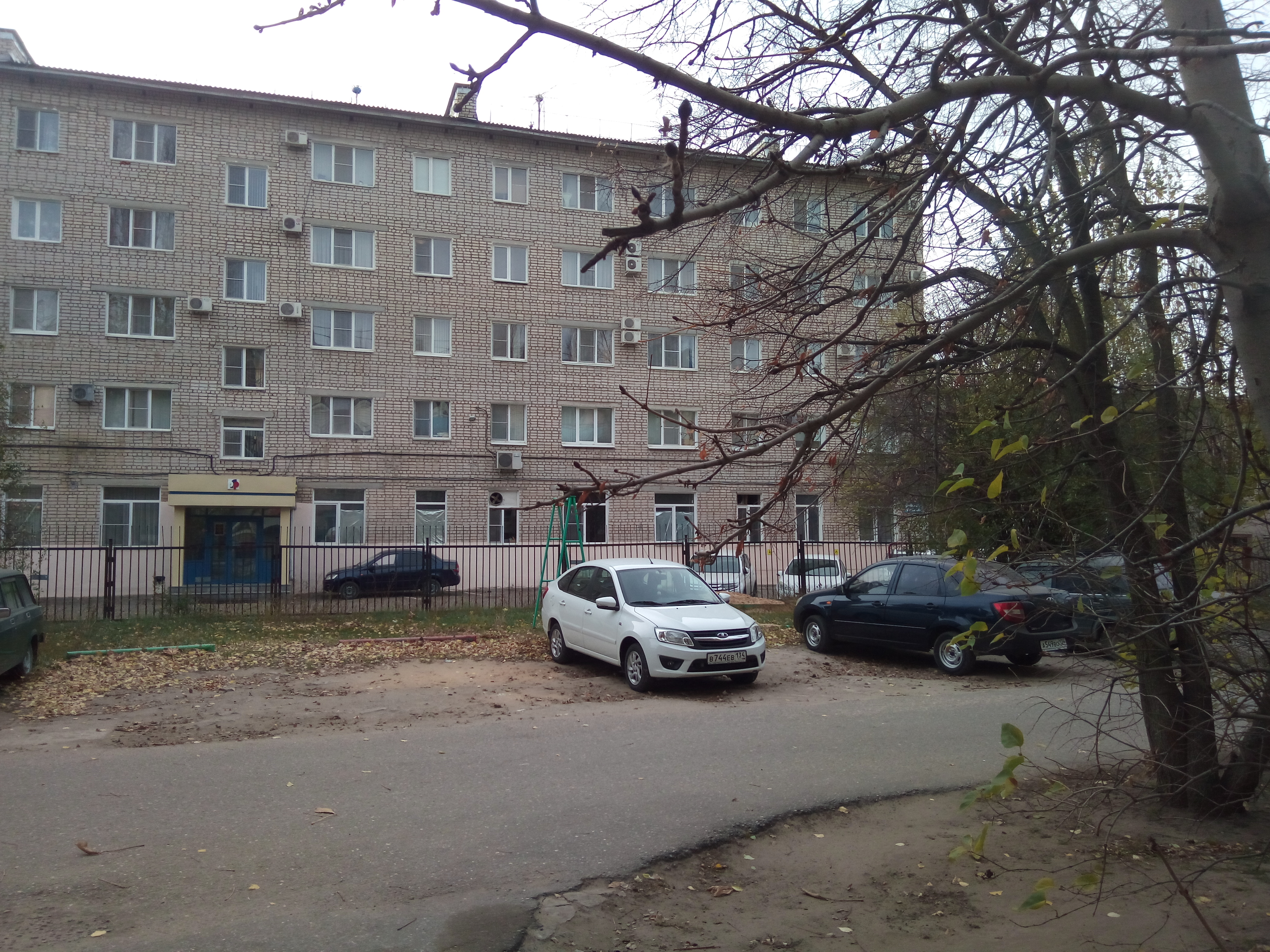 Фото Медведица