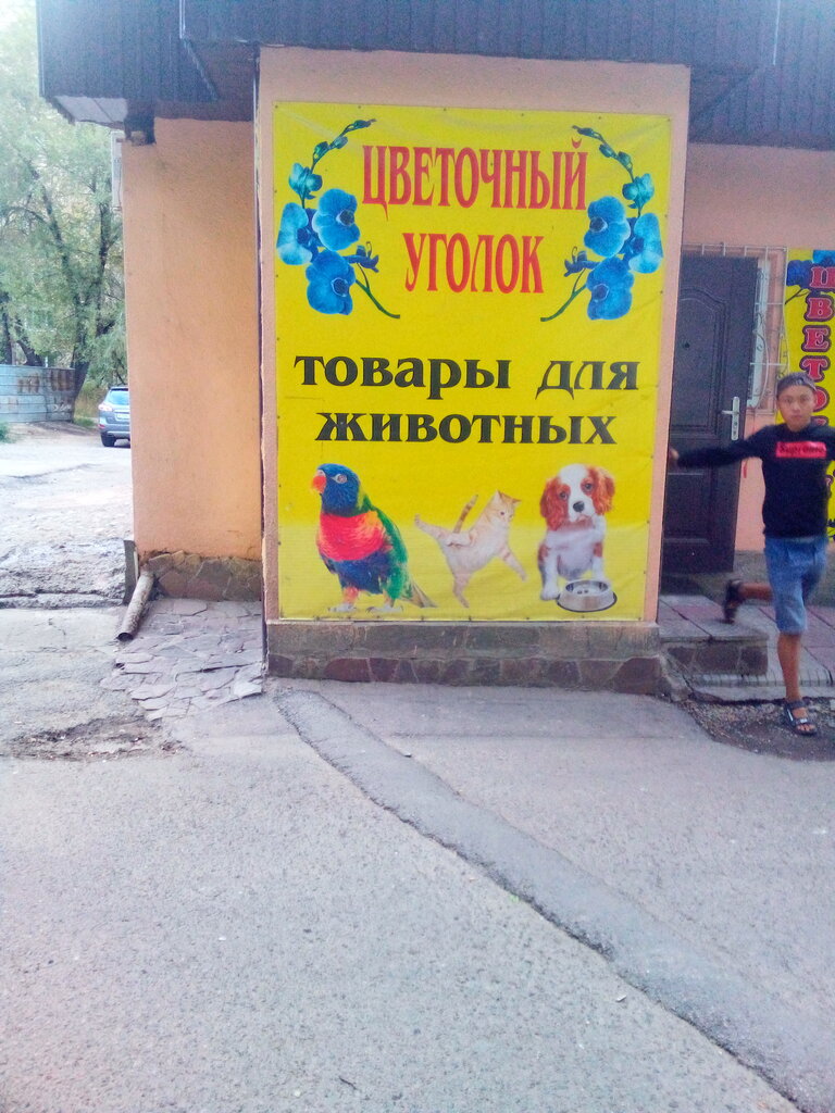 Pet shop Товары для животных, Almaty, photo