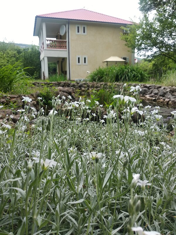 Коттедж Уютный Домик — фото 19