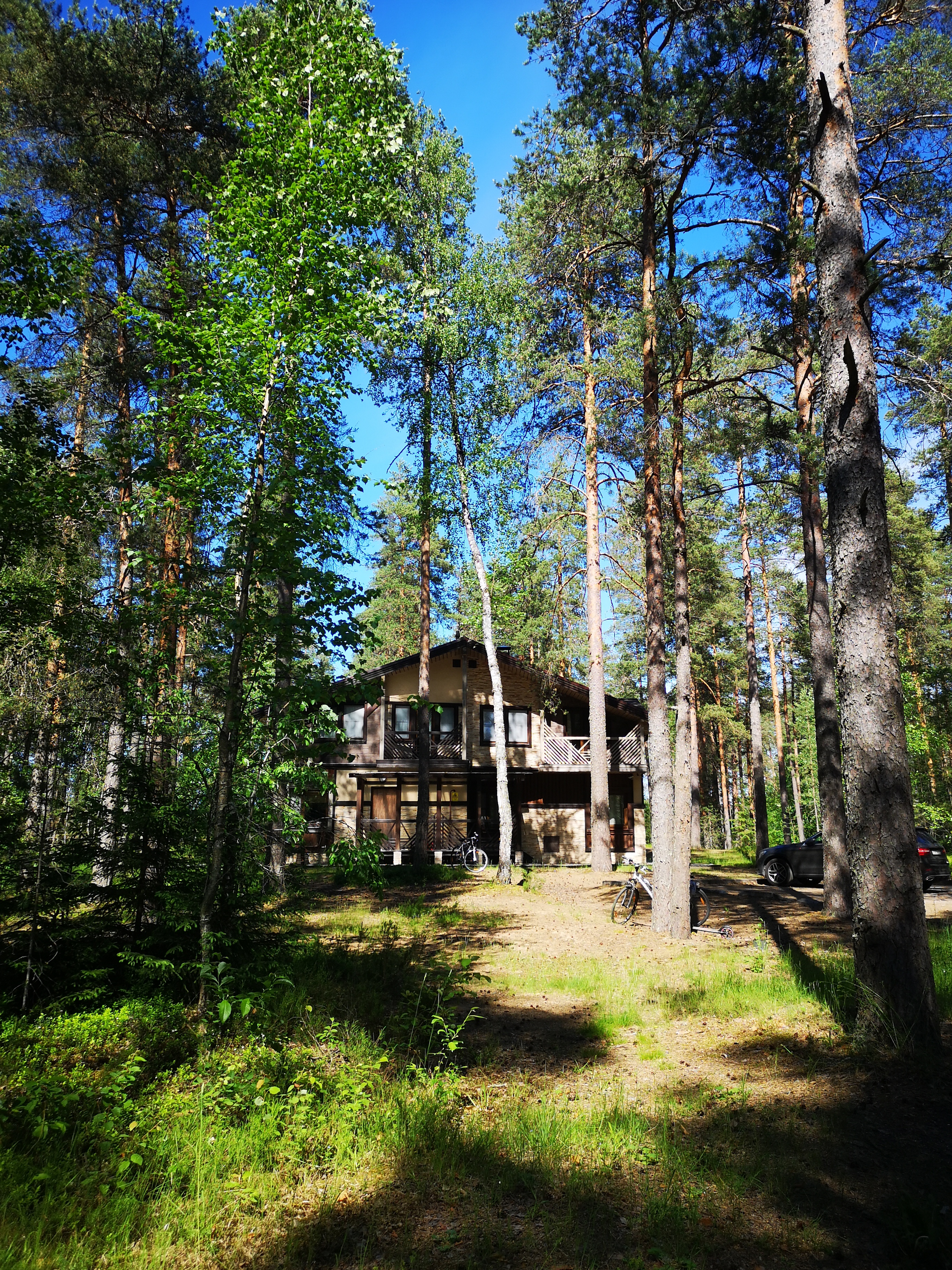 Фото Лесная Рапсодия