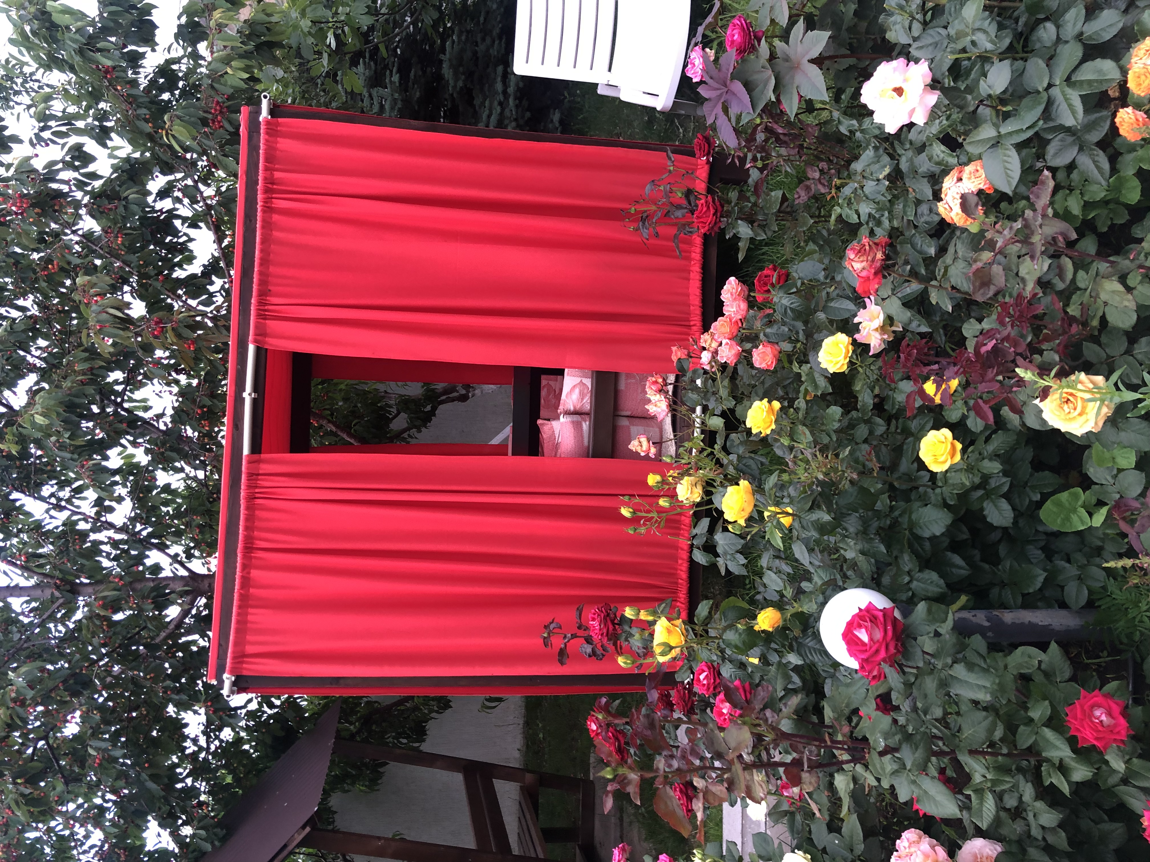 Фото Манака