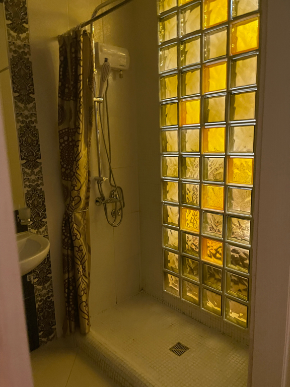 Фото Серебряная лошадь