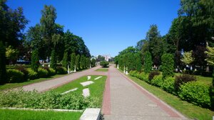 Городской сад (Тверь, Свободный переулок), орманды бақ  Тверьде