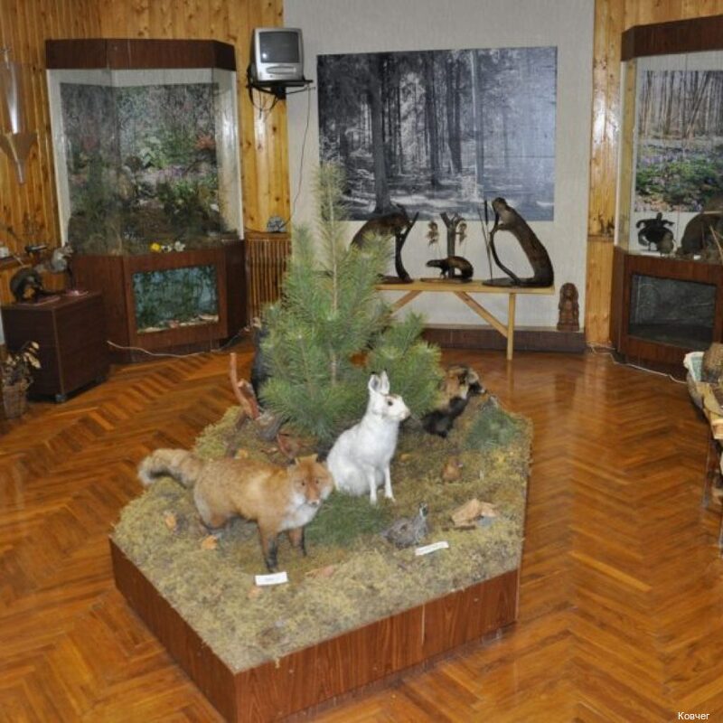 Фото Ковчег