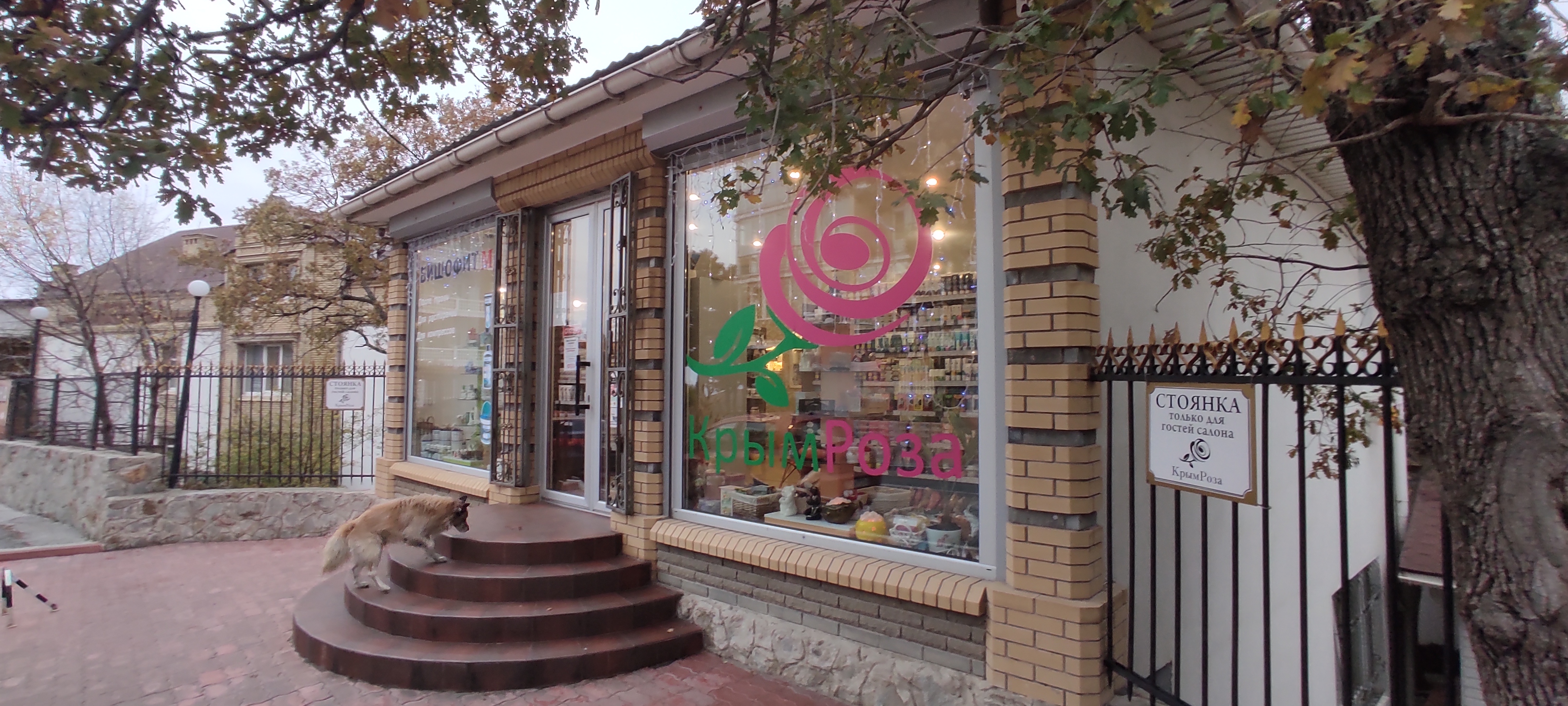 Lezbiyen jinsiy aloqada bolgan ona va qizining porno videolari